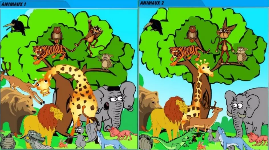 Les animaux sauvages cover photo